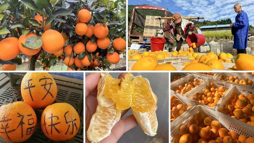 Spreading care all year — Jason launches its 'gifts in every season' farmer-support drive