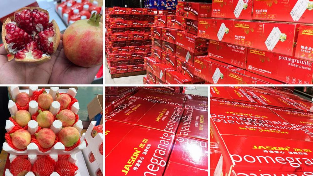 Spreading care all year — Jason's Mid-Autumn 'gifts for farmers' charity drive