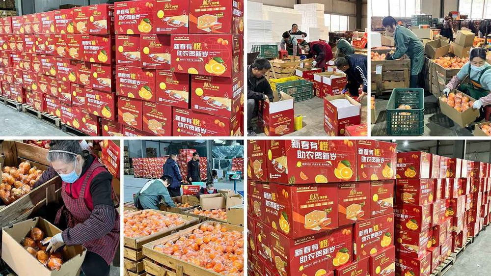 Spreading care all year — Jason's Lunar New Year 'oranges for farmers' charity drive